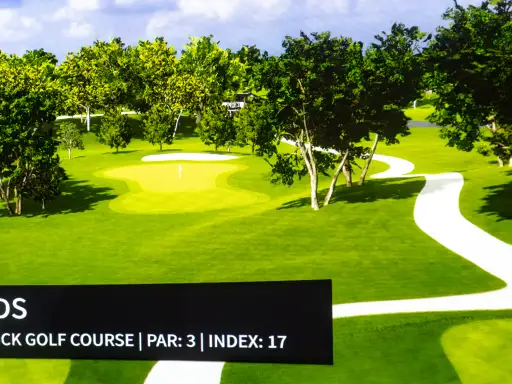 TeeBox360 golf simulator